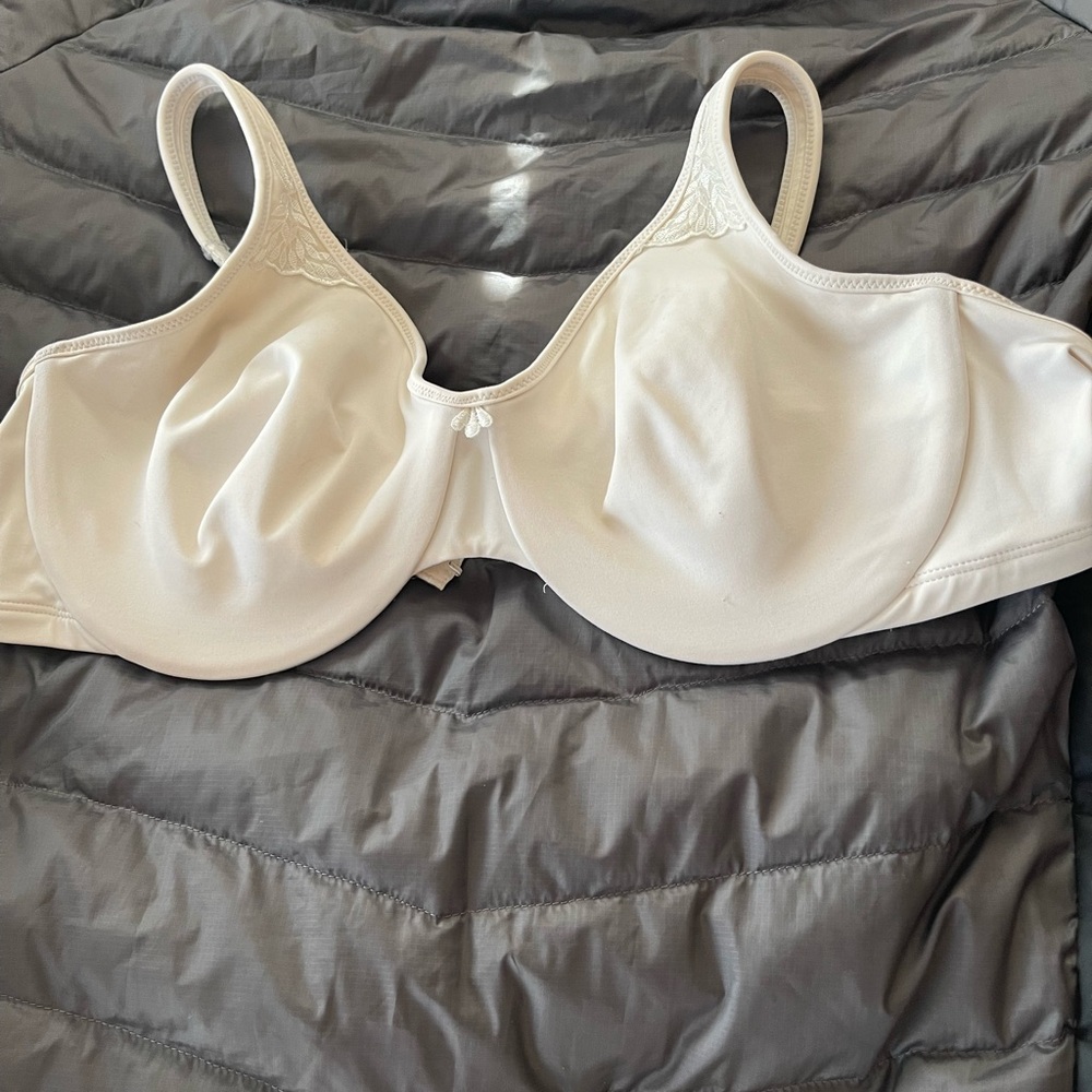 Delimira underwire bra style W580